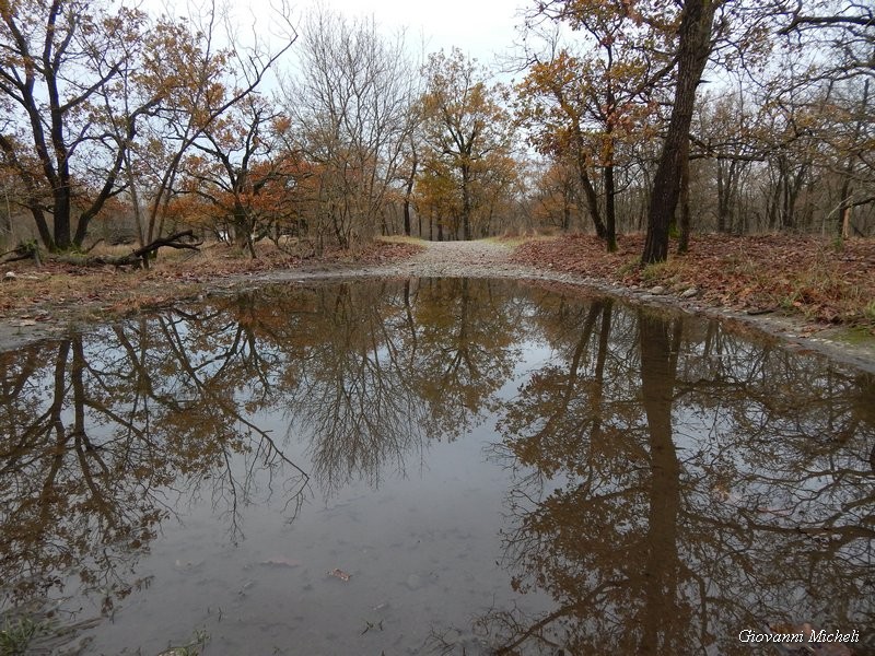 Parco del Ticino 23/11/13